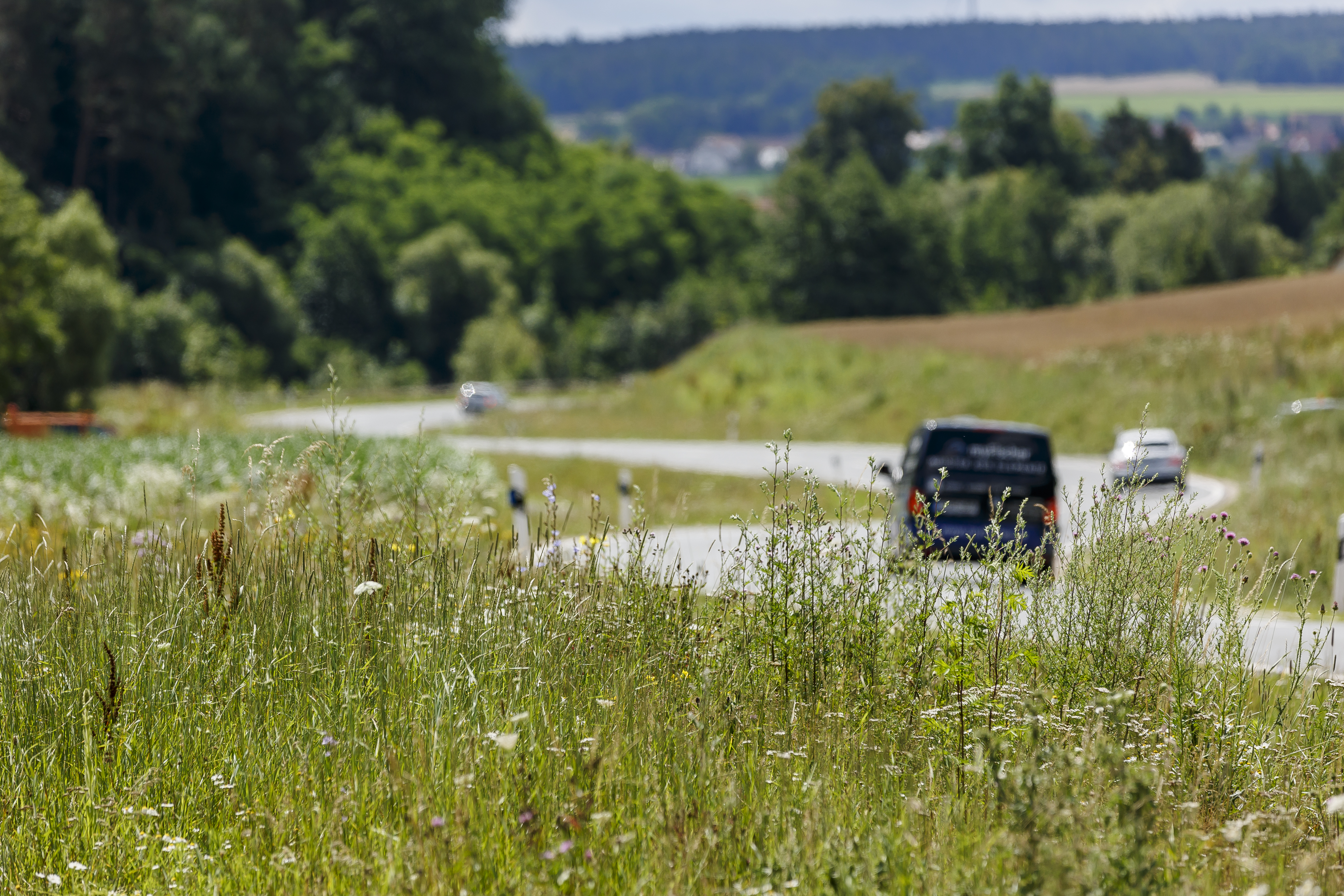 Bienen-Highway Ammerndorf Bienen-Highway Ammerndorf
